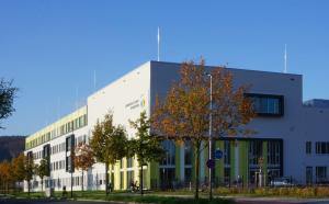 Blick auf die Gemeinschaftsschule Wenigenjena mit grün-weißer Fassade, im Vordergrund eine Baumreihe