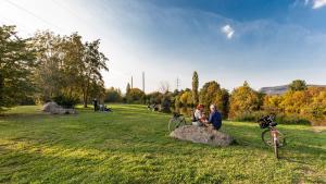 Blick auf den Landschaftspark Saalebogen in Göschwitz mit Menschen, welche auf einem großen Stein sowie auf einer Decke sitzen. Im Hintergrund ist die Saale zu sehen.