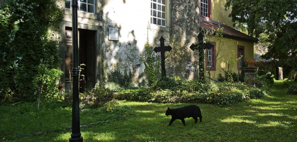 Die Kirche in Burgau, fotografiert aus dem Garten mit Blick auf die Eingangstür. Davor sind einige Grabkreuze, eine schwarze Katze und verschiedene Pflanzen zu sehen.