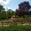 Der Park in Drackendorf. Blick auf das Teehaus. Davor eine kleine Sitzgruppe, umringt von vielen Pflanzen und Bäumen.