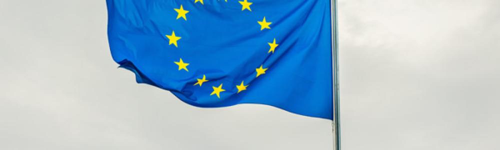 Foto von Dušan Cvetanović: https://www.pexels.com/de-de/foto/blau-bewegung-flagge-europaische-union-12541596/