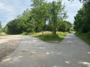 Blick auf den neuen Saaleweg mit einer Gabelung