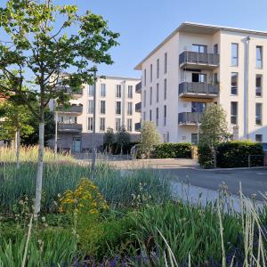 Blick auf zwei moderne Wohngebäude mit Balkons, davor eine Wiese mit Bäumen und eine Straße
