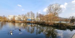 Das Foto wurde mittig von der Lichtenhainer Brücke mit Blick Richtung Nordosten aufgenommen. Im Vordergrund sieht man den Fluss „Saale“ mit zwei Kajakbooten. Dahinter sieht man das Saaleufer mit Bäumen. Im Hintergrund sieht man die adhoc-Arena.