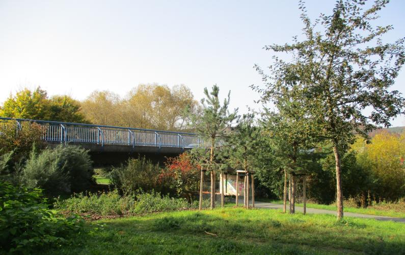 Neugestalteter Saalebogen in Jena mit Pflanzen und Brücke