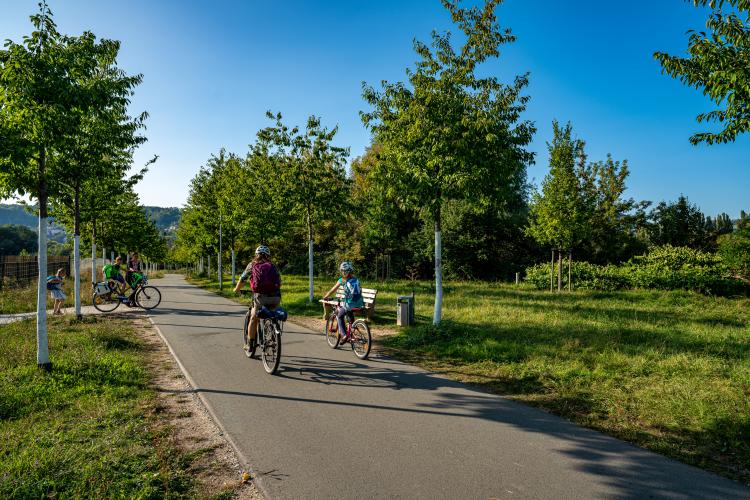 Man sieht einen von Kirschbäumen umsäumten Radweg am Gries, auf dem mehrere Radfahrer entlang radeln