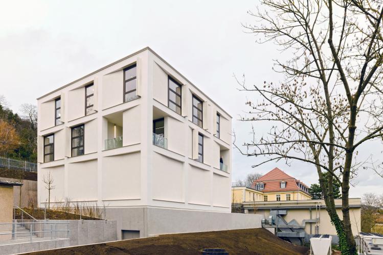 Gebäude mit heller Fassade, großen Fenstern und Flachdach, dahinter grauer Himmel, im Vordergrund ein Baum und Außenanlagen