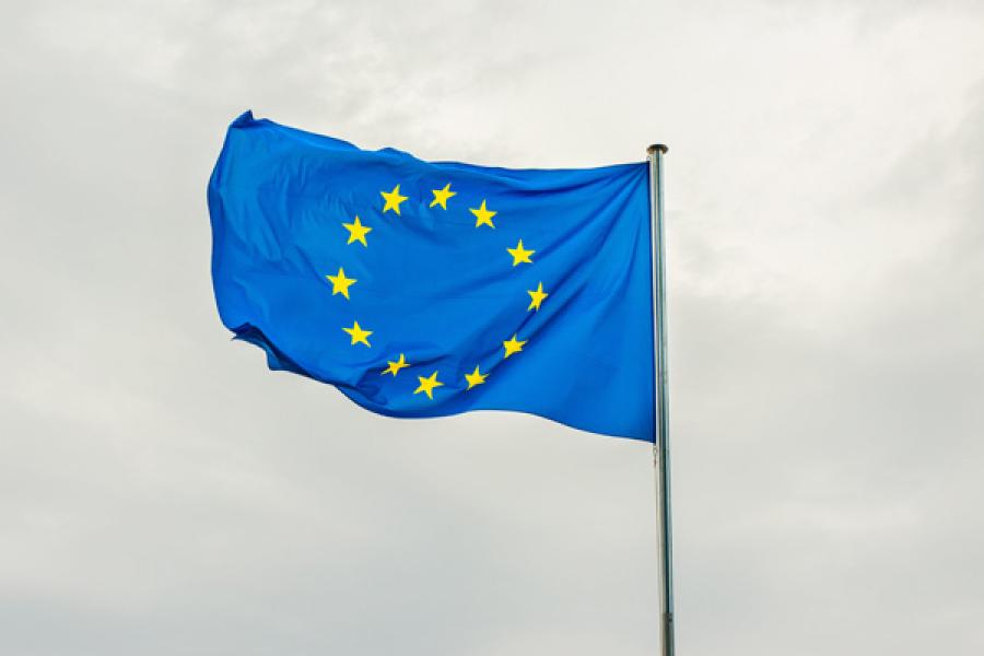 Foto von Dušan Cvetanović: https://www.pexels.com/de-de/foto/blau-bewegung-flagge-europaische-union-12541596/