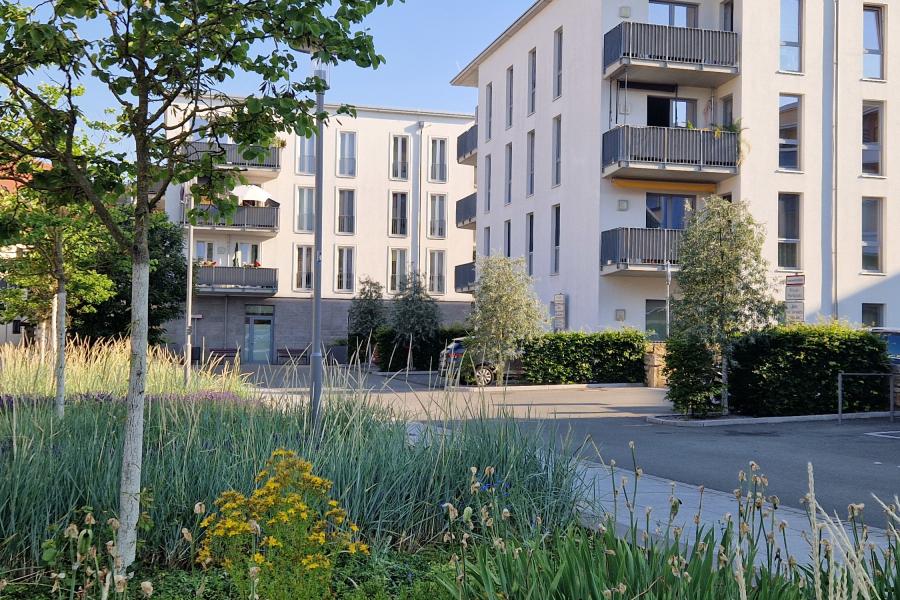 Blick auf zwei moderne Wohngebäude mit Balkons, davor eine Wiese mit Bäumen und eine Straße